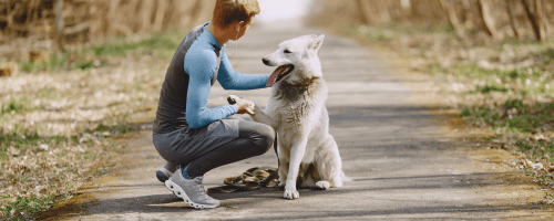 10 Essential Tips for First-Time Pet Owners